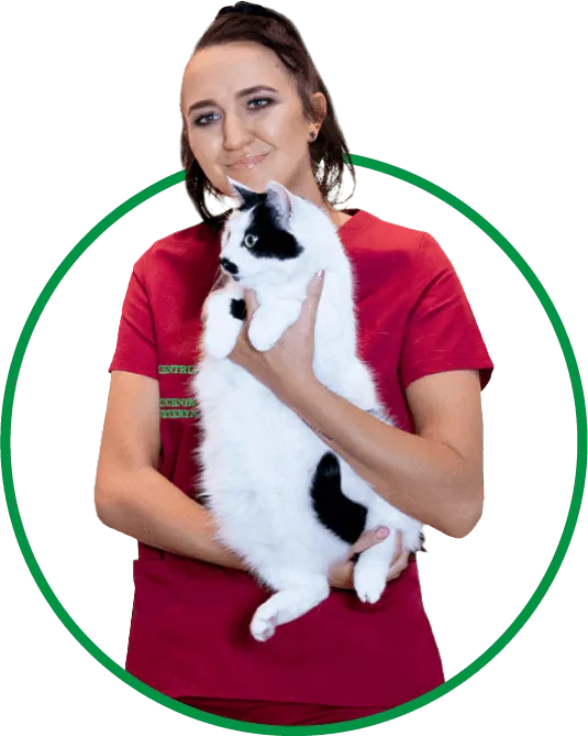 Sara Wilińska weterynarz przychodnia weterynaryjna Włocławek